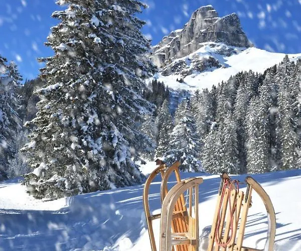 Parkareal 606 By Interhome Apartmán Davos